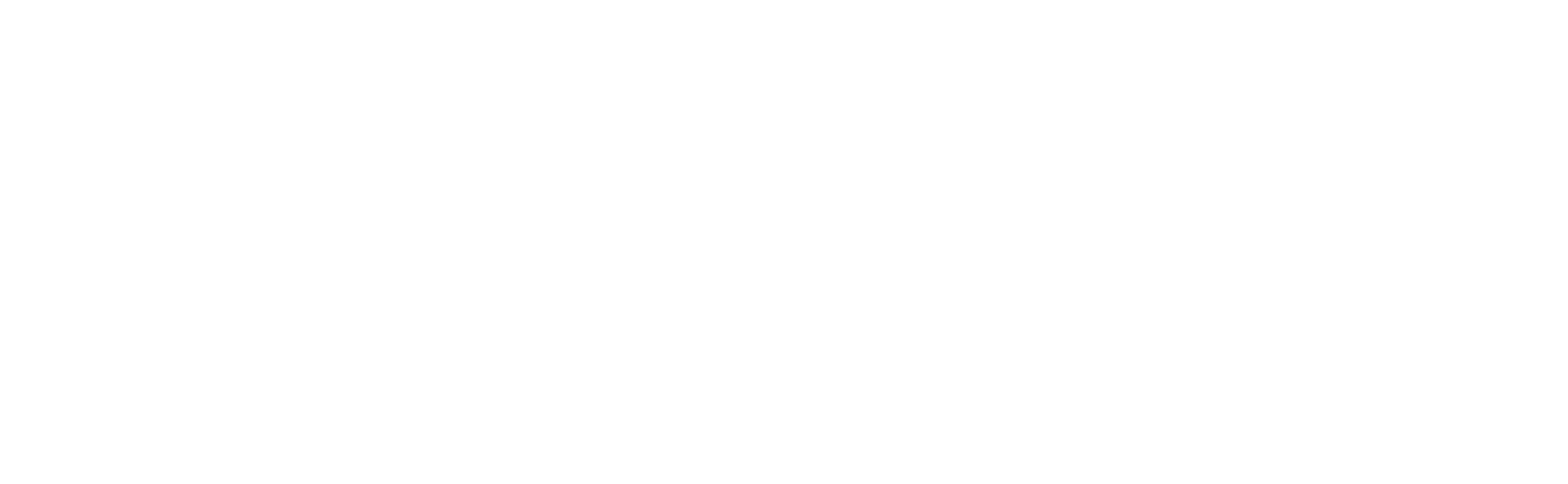 Virtual International